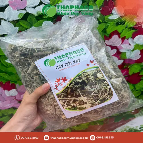 Công dụng hỗ trợ của cây cối xay khô