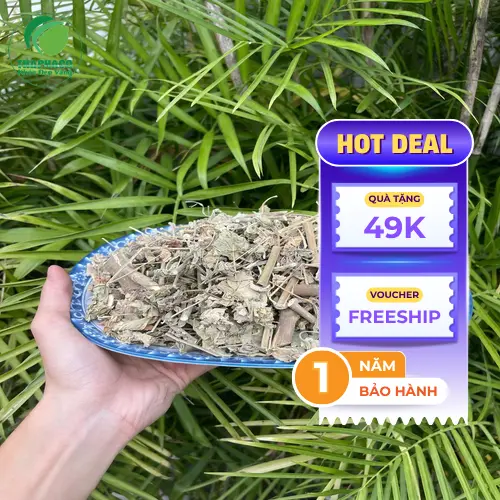 Cây Cối Xay khô hỗ trợ tiêu hóa và hô hấp
