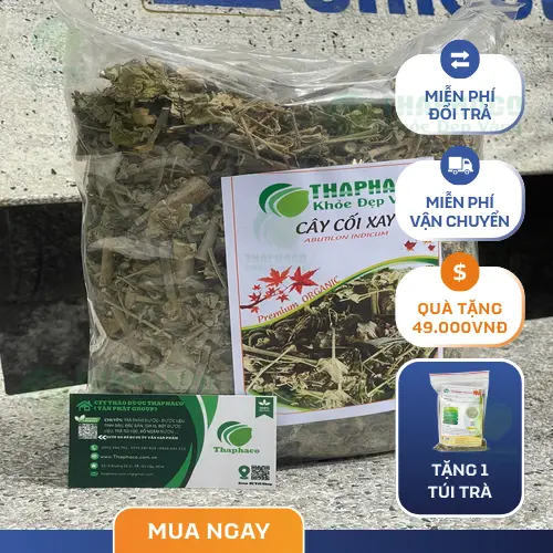 THAPHACO - Nhà cung cấp cây cối xay khô uy tín