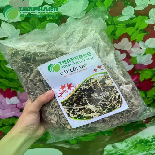 Địa chỉ bán cây cối xay khô uy tín tại TP.HCM