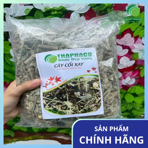 Lưu ý khi dùng cây cối xay