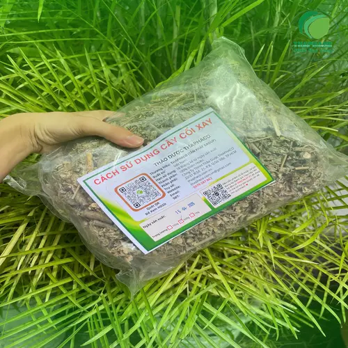 Cây Cối Xay toàn thân và lá được dùng làm dược liệu