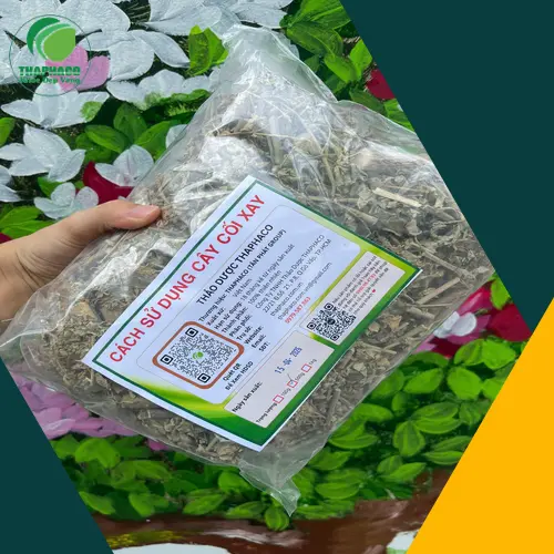 Giải đáp các câu hỏi thường gặp về cây cối xay khô
