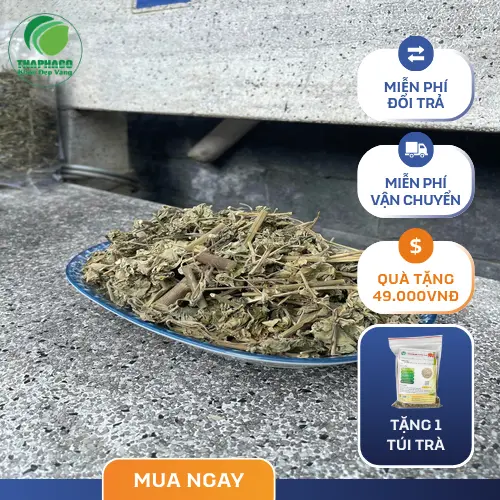 Tư vấn chuyên gia khi dùng cây cối xay