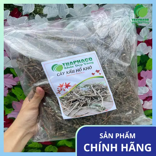 Cây xấu hổ khô đã được sơ chế