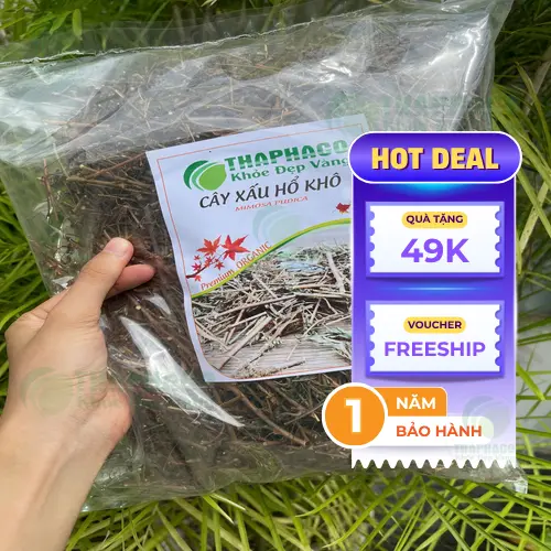 Lá cây xấu hổ cụp lại khi chạm vào