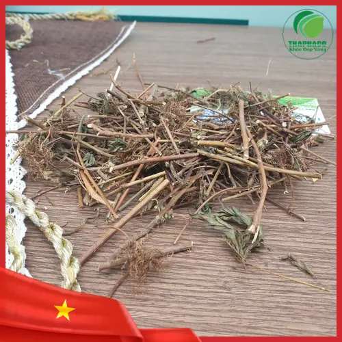 Hình ảnh cây xấu hổ khô được chuẩn bị để sử dụng theo các bài thuốc dân gian.