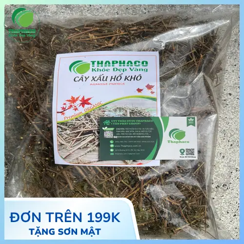 Lá cây xấu hổ sau khi chạm vào