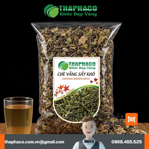 Cây chè vằng tươi xanh tốt