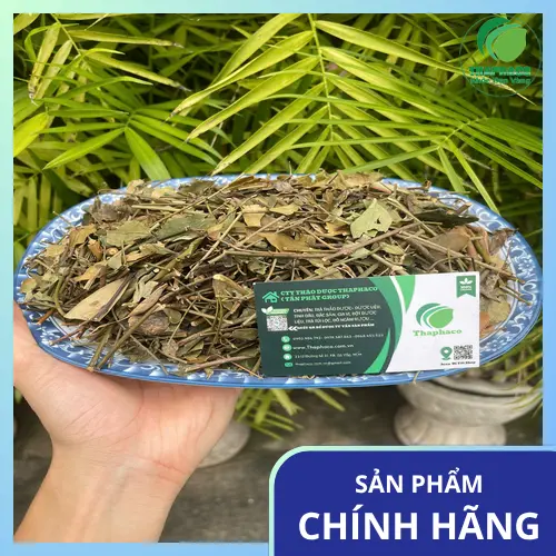 Chè vằng khô THAPHACO chất lượng