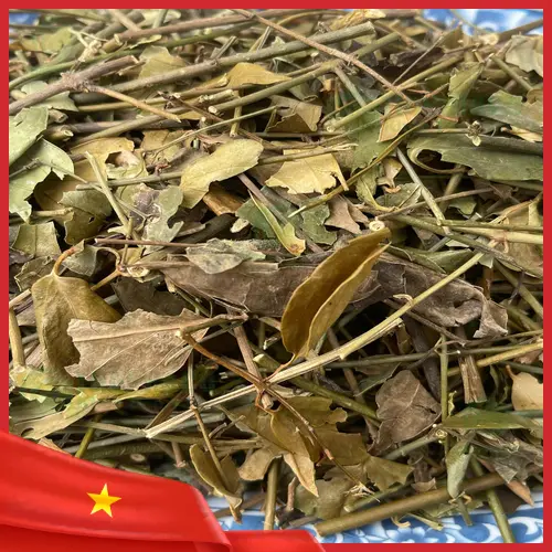 Chè vằng sấy khô THAPHACO chất lượng cao