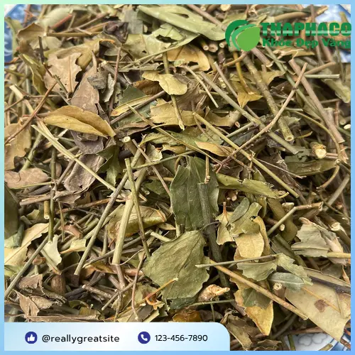 Cách pha chè vằng sấy khô đơn giản