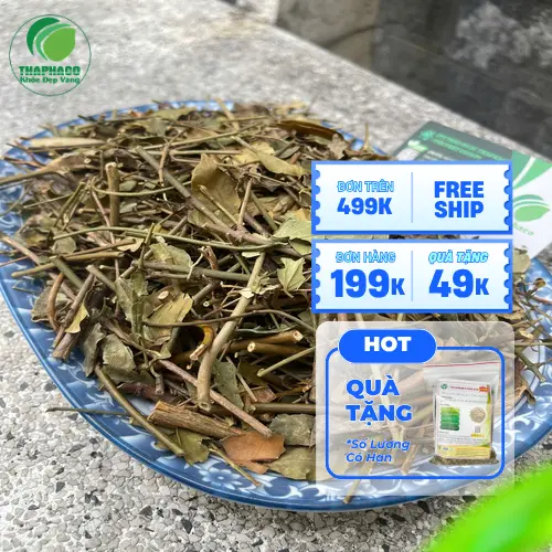 Chè vằng khô dạng miếng