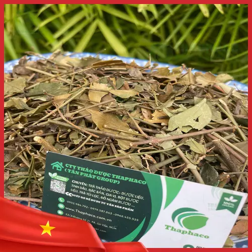 Hình ảnh nước chè vằng khô đã pha hoặc sắc