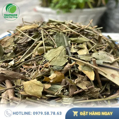 Gói chè vằng khô THAPHACO tiện lợi