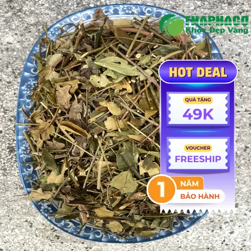 Câu hỏi thường gặp về chè vằng khô THAPHACO