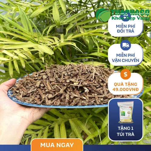 Dây Thần Thông khô được sơ chế