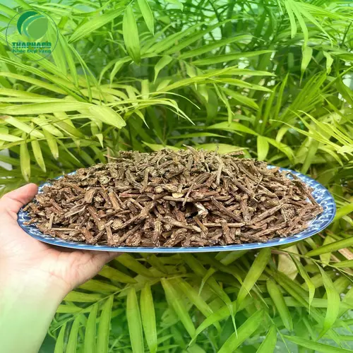 Liên hệ THAPHACO để mua Dây Thần Thông sấy khô