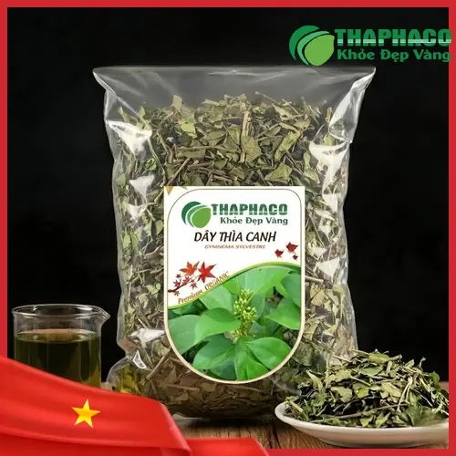 Dây Thìa Canh và lợi ích hỗ trợ sức khỏe