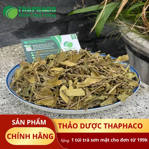 Sai lầm về liều lượng Dây Thìa Canh