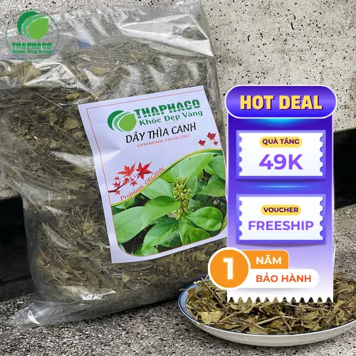 Lợi ích hỗ trợ của Dây Thìa Canh cho sức khỏe