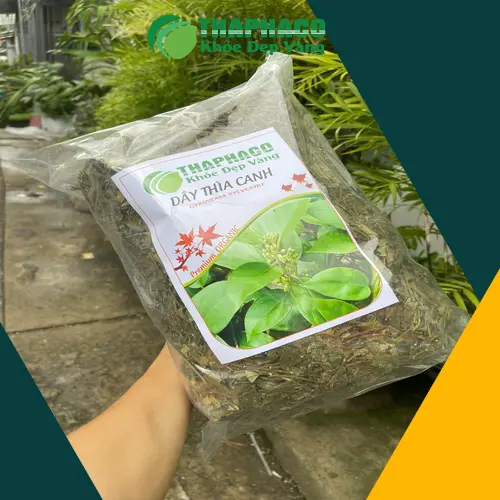 Các thành phần hóa học của Dây Thìa Canh