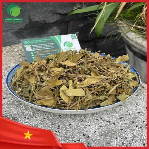 Lưu ý khi sử dụng Dây Thìa Canh