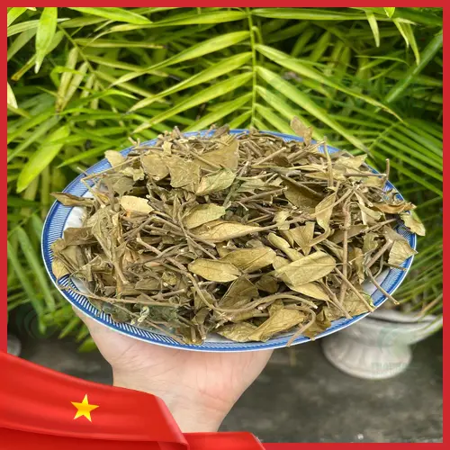 Hướng dẫn pha trà Dây Thìa Canh sấy khô
