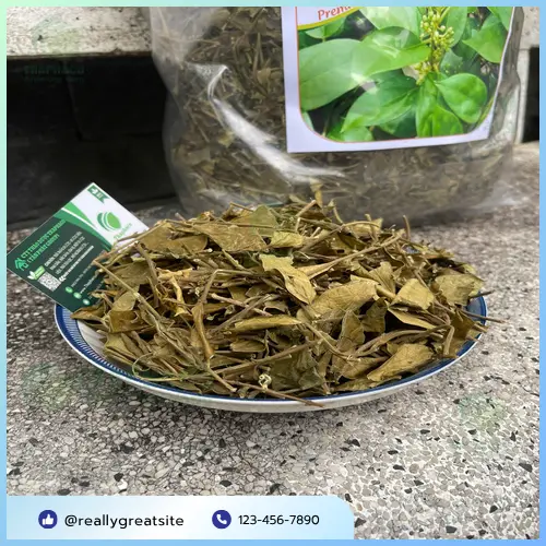 Cách dùng Dây Thìa Canh an toàn và hiệu quả