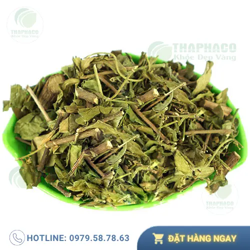 Theo dõi đường huyết khi dùng Dây Thìa Canh