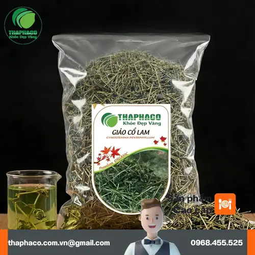 Giảo cổ lam khô chất lượng tại THAPHACO