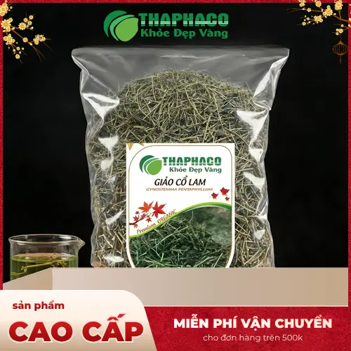 Chọn Giảo Cổ Lam khô chất lượng tại THAPHACO