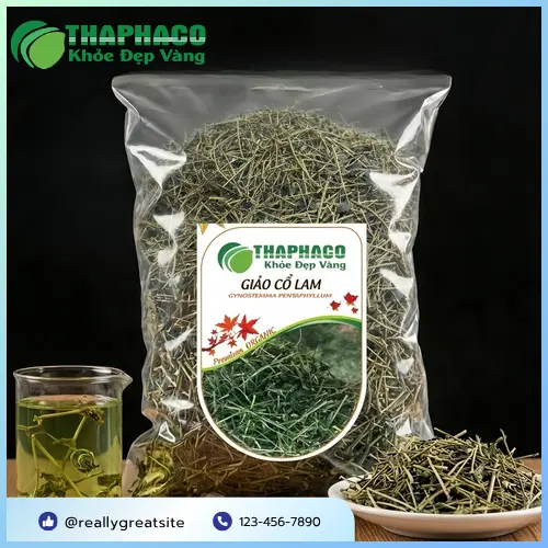 Giảo Cổ Lam Khô có thể hỗ trợ nhiều lợi ích sức khỏe
