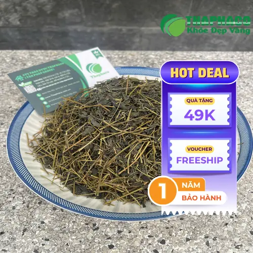 Giảo cổ lam là thảo dược hỗ trợ sức khỏe