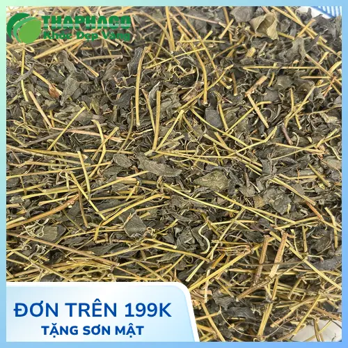 Cách pha trà giảo cổ lam đúng cách