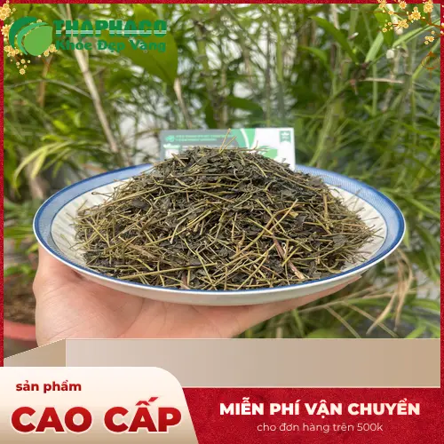 Quy trình sản xuất Giảo Cổ Lam khô THAPHACO