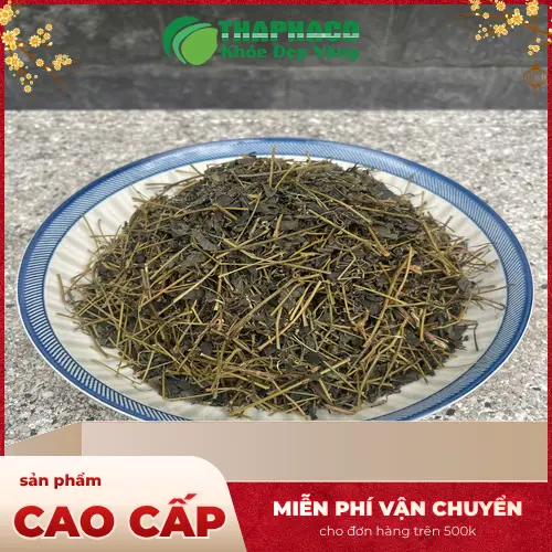 Cận cảnh lá Giảo Cổ Lam 5 lá, đặc trưng của thảo dược