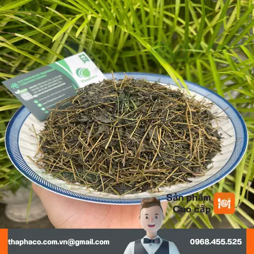 Hướng dẫn sử dụng Giảo Cổ Lam khô THAPHACO