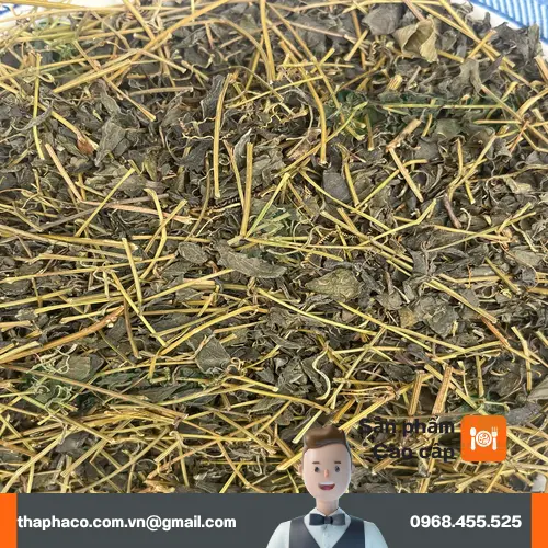 Cách pha trà Giảo Cổ Lam