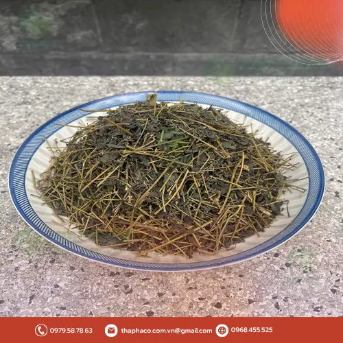 Hình ảnh người dùng Giảo Cổ Lam bị chóng mặt