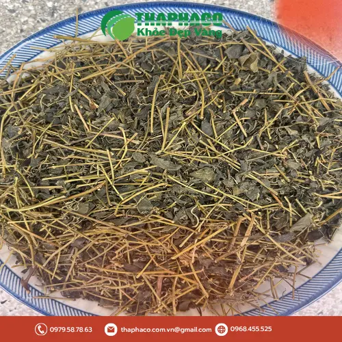 Địa chỉ mua giảo cổ lam khô uy tín tại TP.HCM