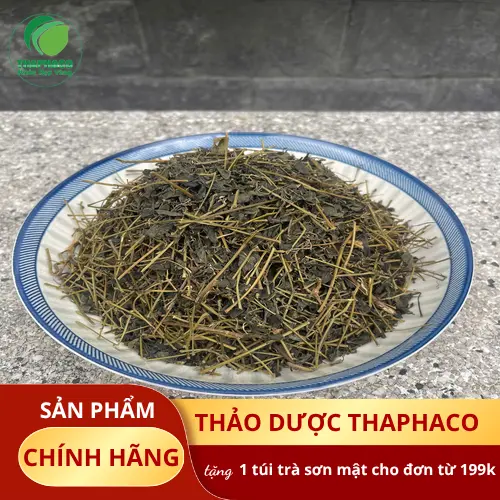 Địa chỉ mua Giảo Cổ Lam khô THAPHACO uy tín