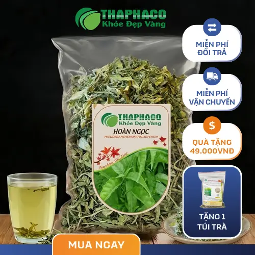 Hình ảnh cây Hoàn Ngọc tươi xanh
