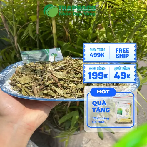 Các bước pha trà lá hoàn ngọc khô đúng cách