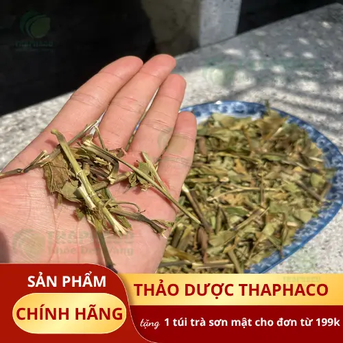 Công dụng Lá Hoàn Ngọc khô đối với sức khỏe