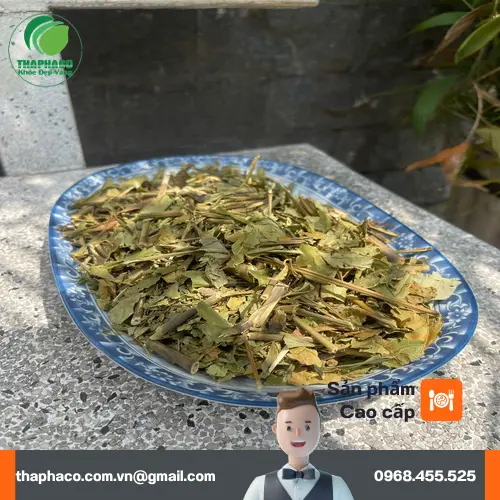 Quy trình phơi sấy Hoàn Ngọc khô tại THAPHACO