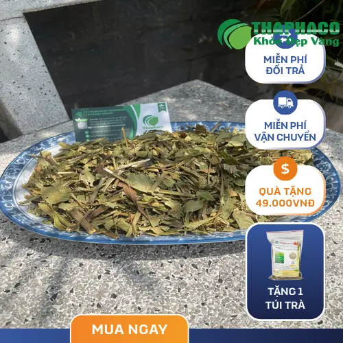 Sản phẩm lá hoàn ngọc khô THAPHACO