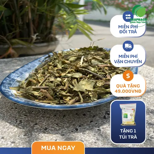 Sản phẩm hoàn ngọc khô, hoàn ngọc sấy khô chất lượng từ THAPHACO