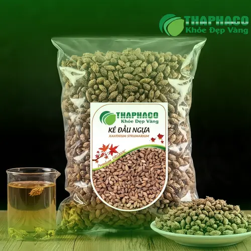 Phụ nữ mang thai có dùng ké đầu ngựa được không