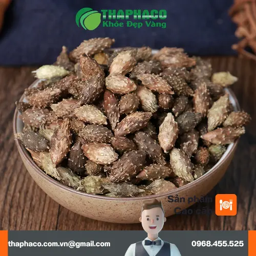Hình ảnh quả Ké Đầu Ngựa còn tươi